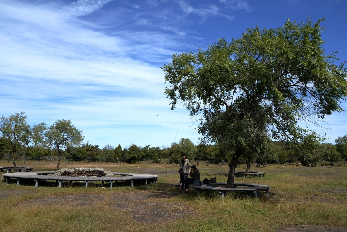 镜泊——喷气碟湿地（4）