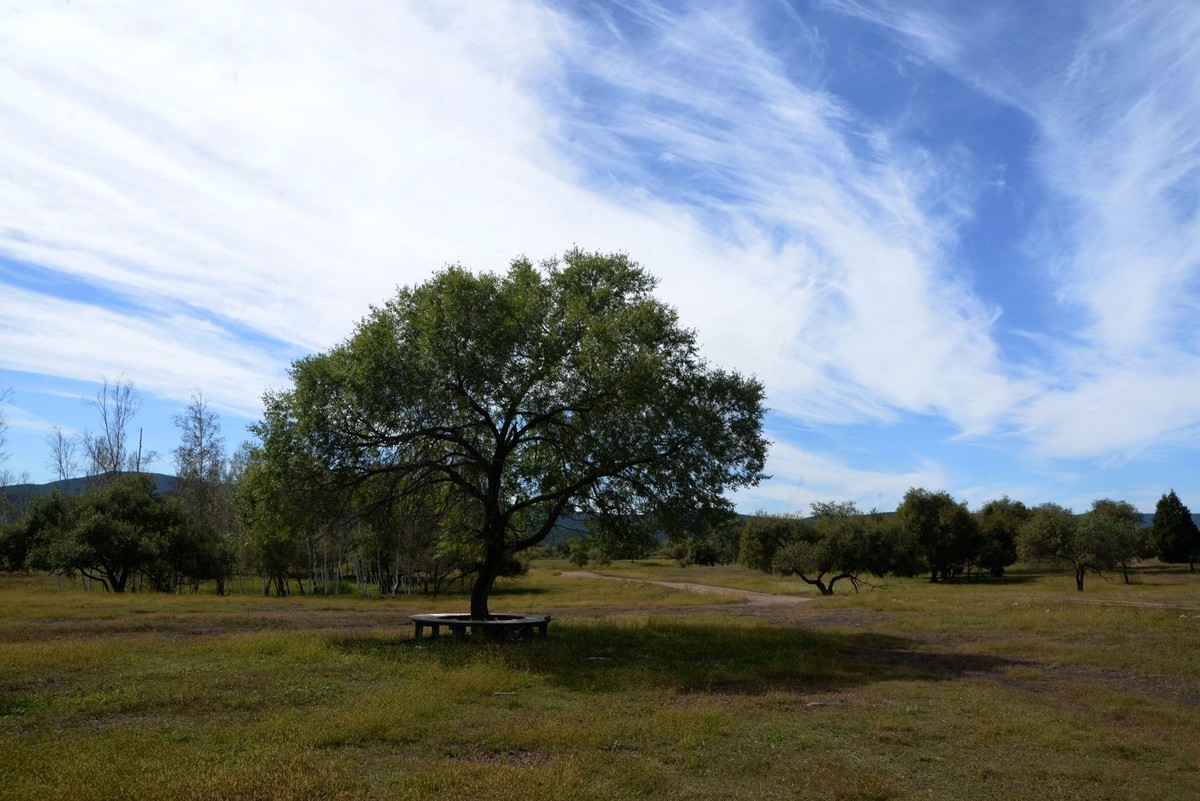 镜泊——喷气碟湿地（4）