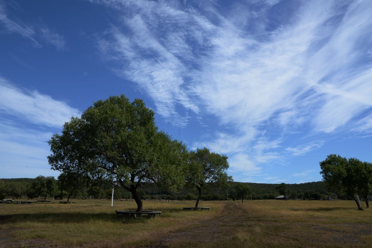 镜泊——喷气碟湿地（4）