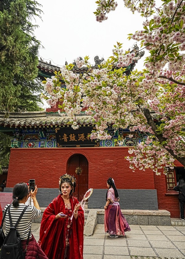 河南洛阳--白马寺【3】