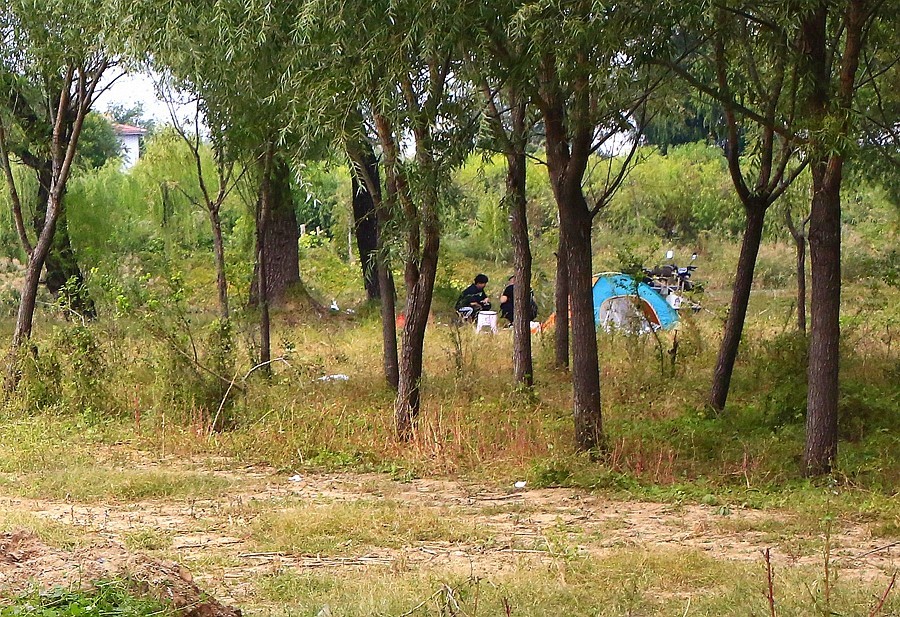 《不老松：纪实摄影》大美沧州系列報道：大运河畔！休闲好地方！ (4)