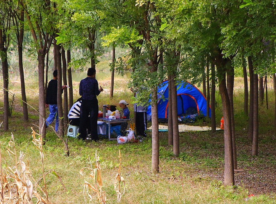 《不老松：纪实摄影》大美沧州系列報道：大运河畔！休闲好地方！ (4)