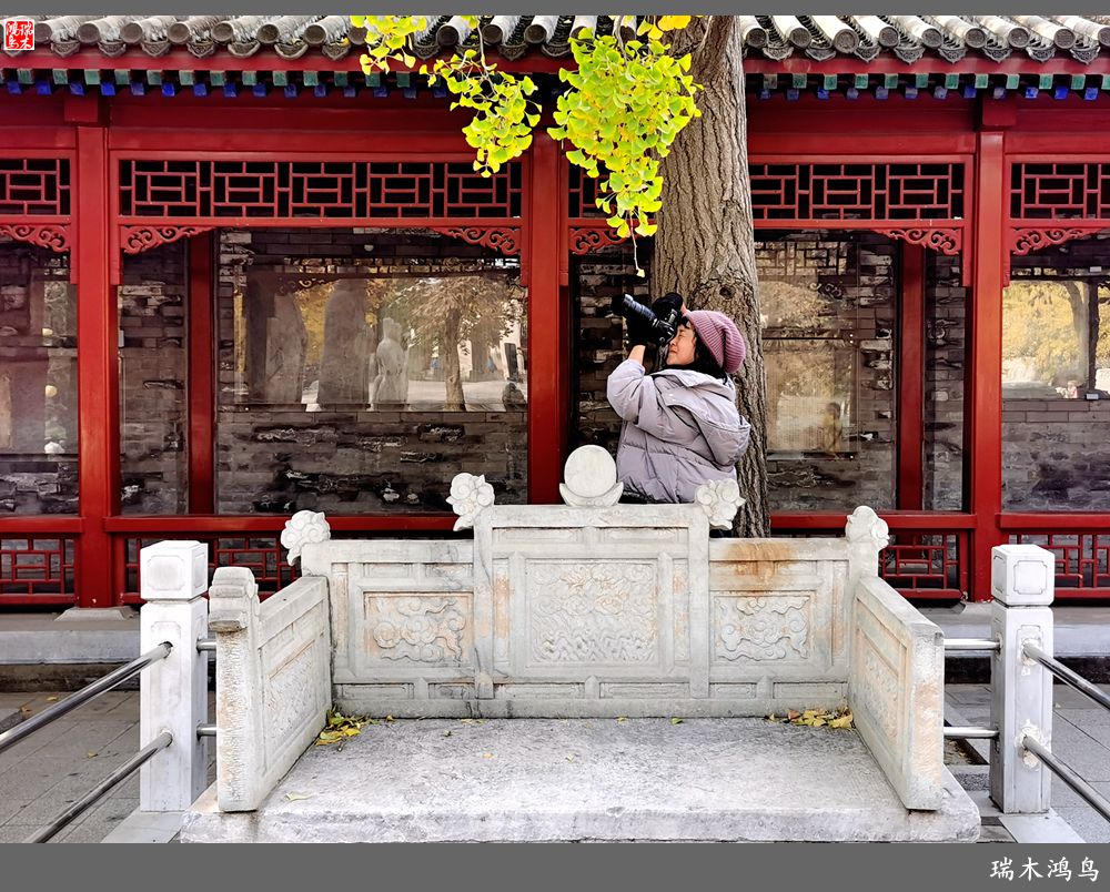 【京城寺庙集锦】45.五塔真觉寺的今世前缘（5）