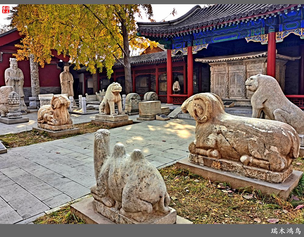 【京城寺庙集锦】45.五塔真觉寺的今世前缘（5）