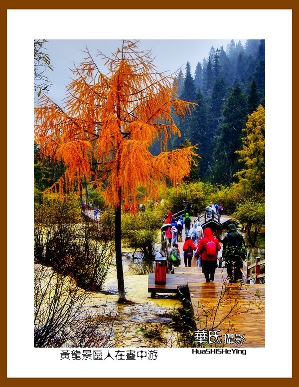 2020西西南北行游走川西205——黄龙景区人在画中游（阿坝州松潘县）