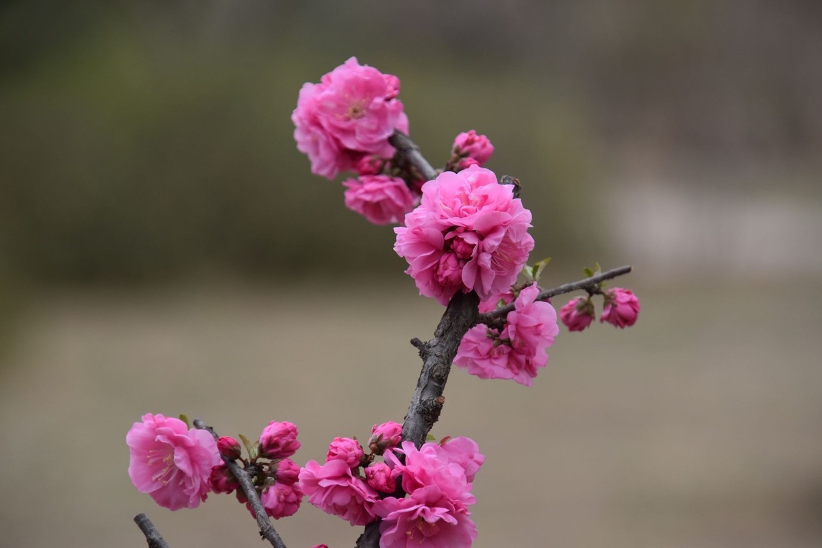 又是花红柳绿时