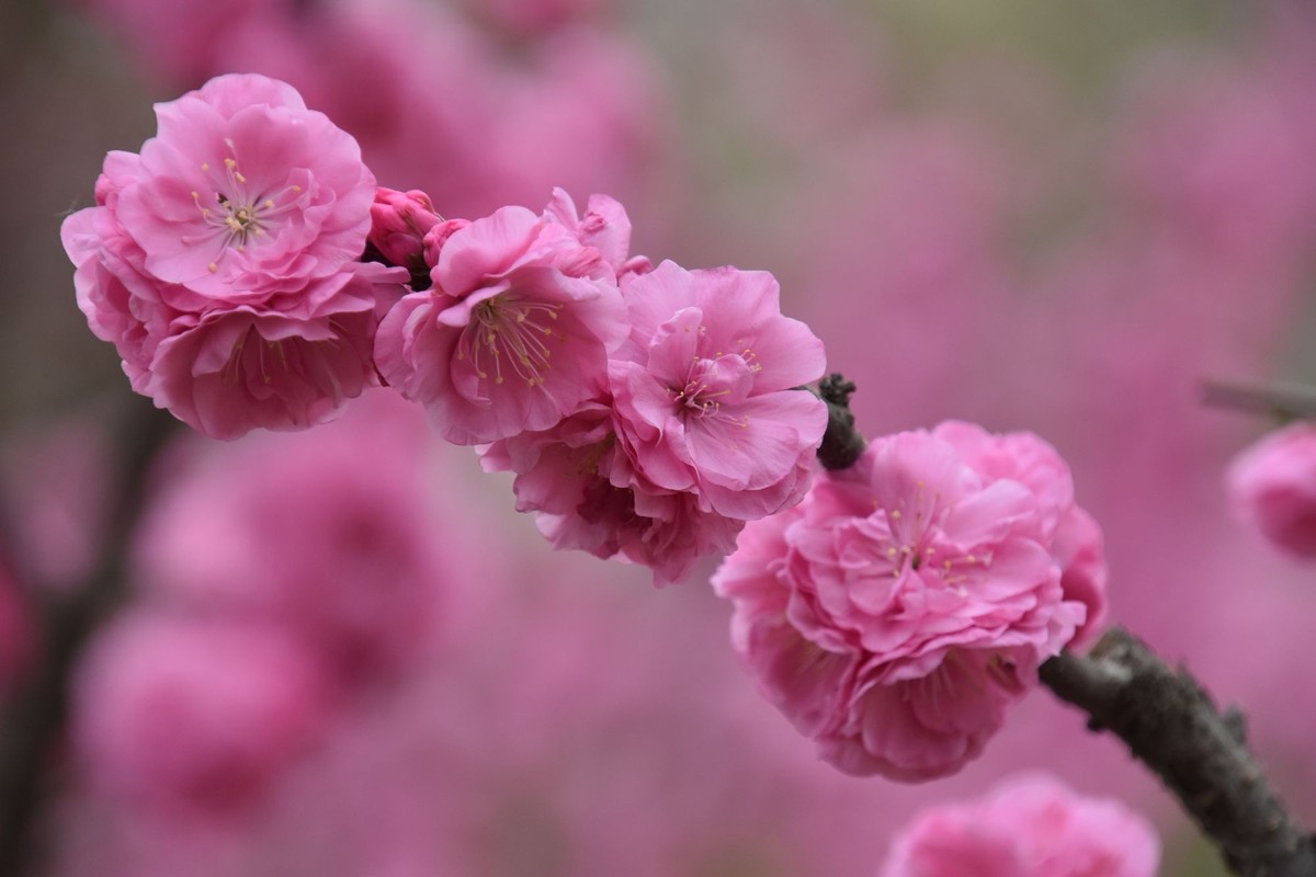 又是花红柳绿时