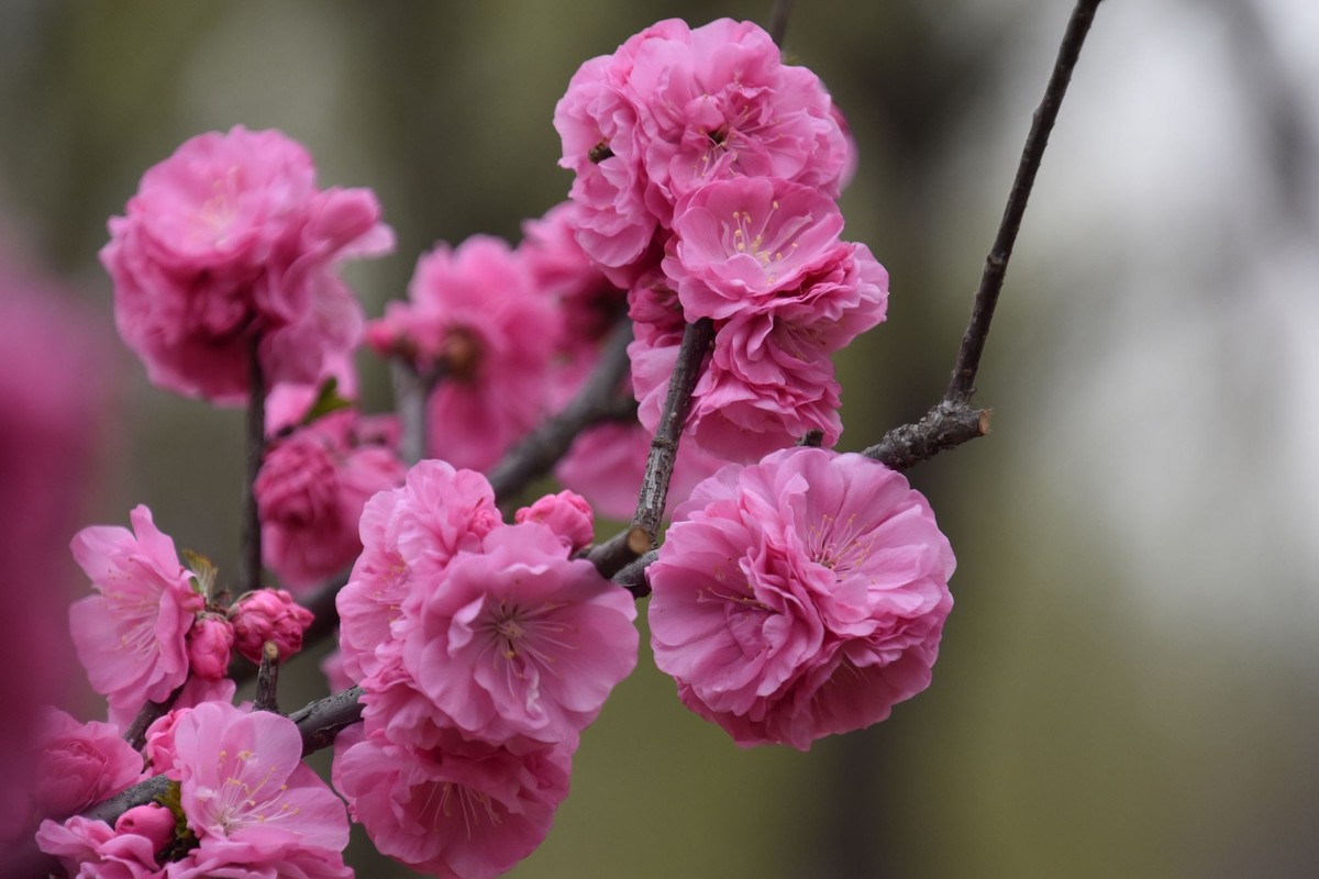 又是花红柳绿时