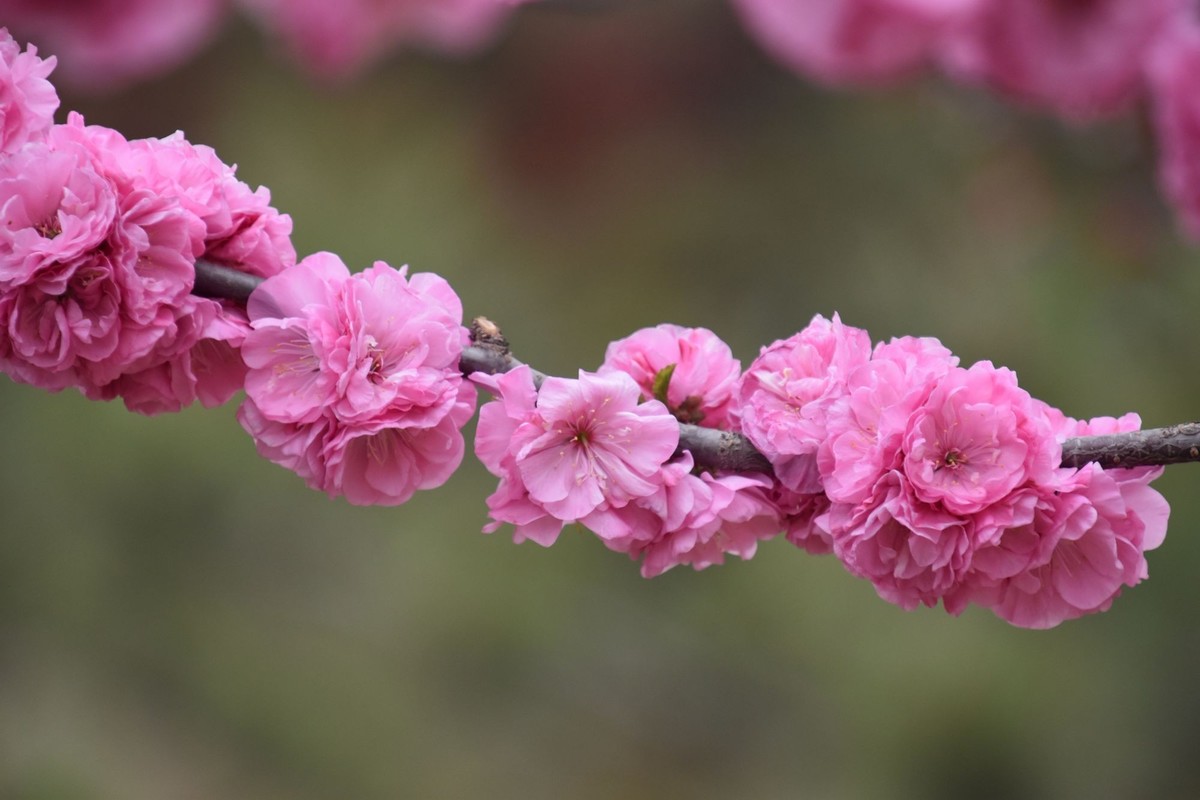 又是花红柳绿时