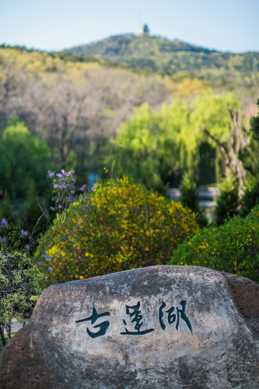 2023年4月30日------大连棒棰岛国宾馆景区