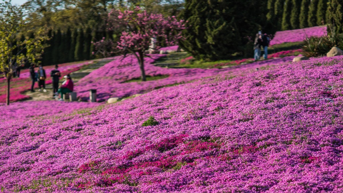 2023年4月30日------大连棒棰岛国宾馆景区