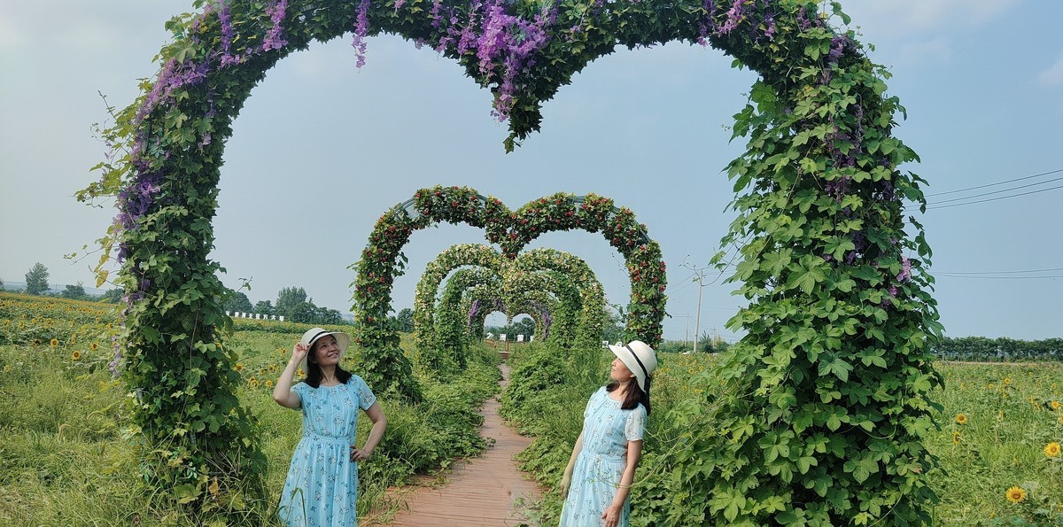 轻点足尖向日倾