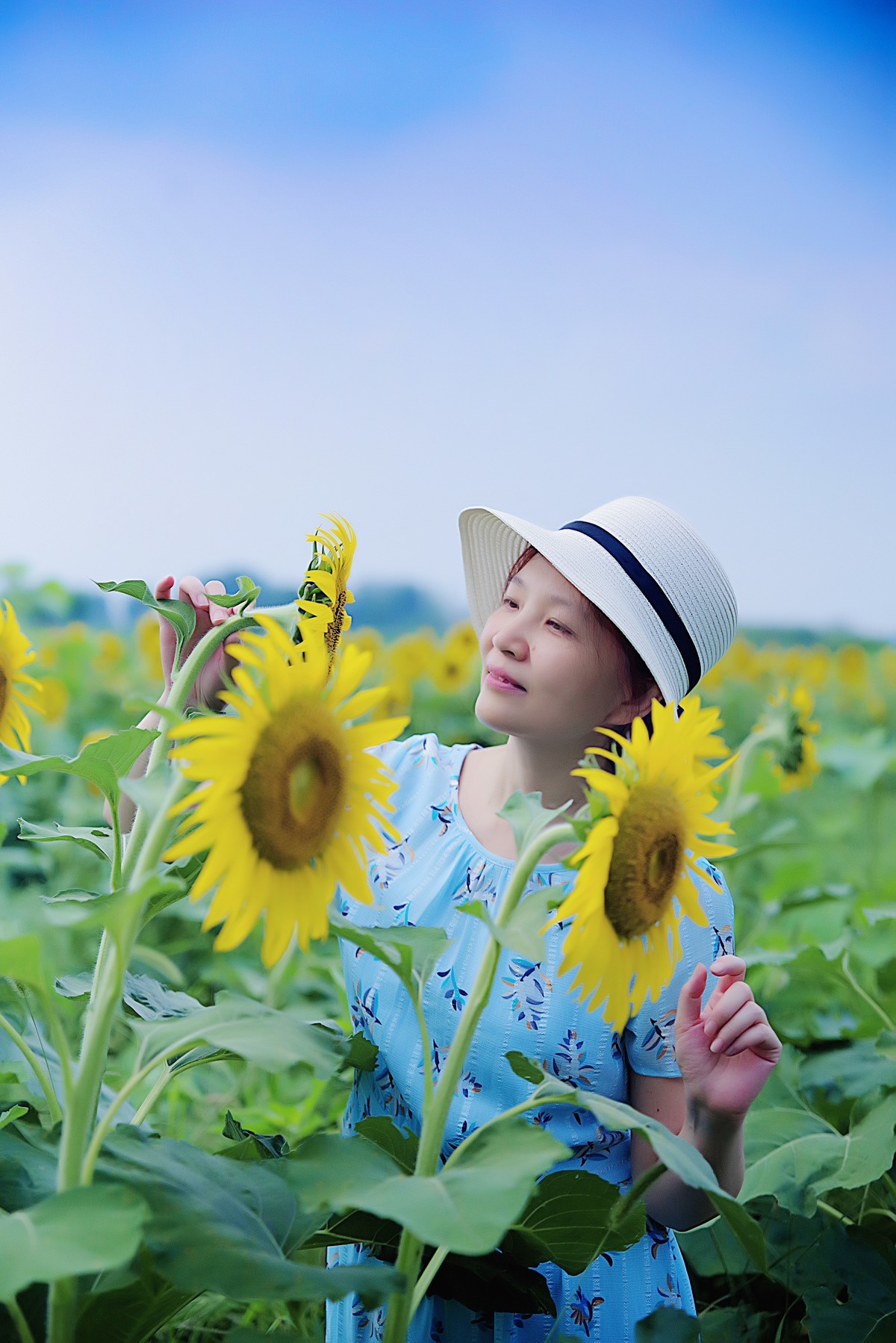 轻点足尖向日倾