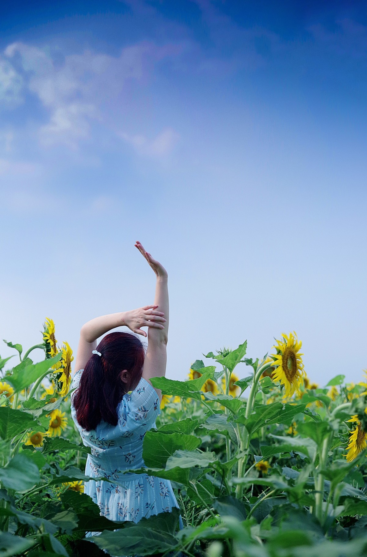 轻点足尖向日倾