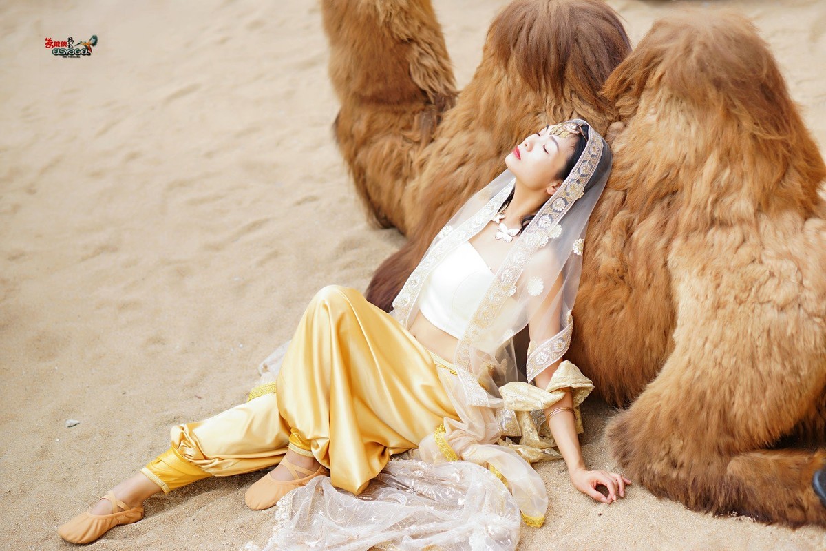 【沙漠香槟女神】---小杨