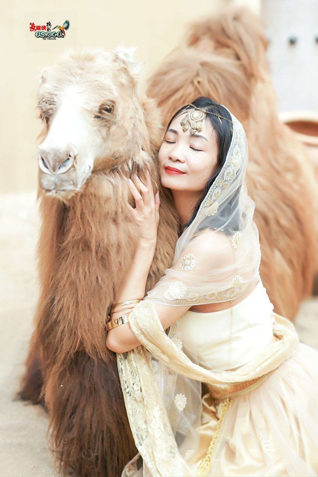 【沙漠香槟女神】---小杨