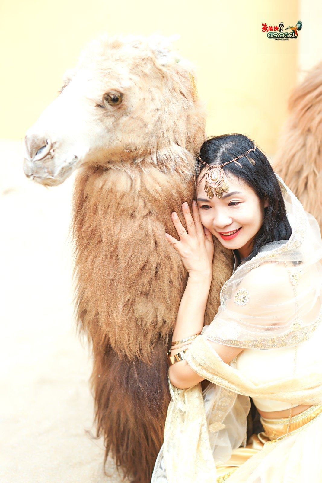 【沙漠香槟女神】---小杨