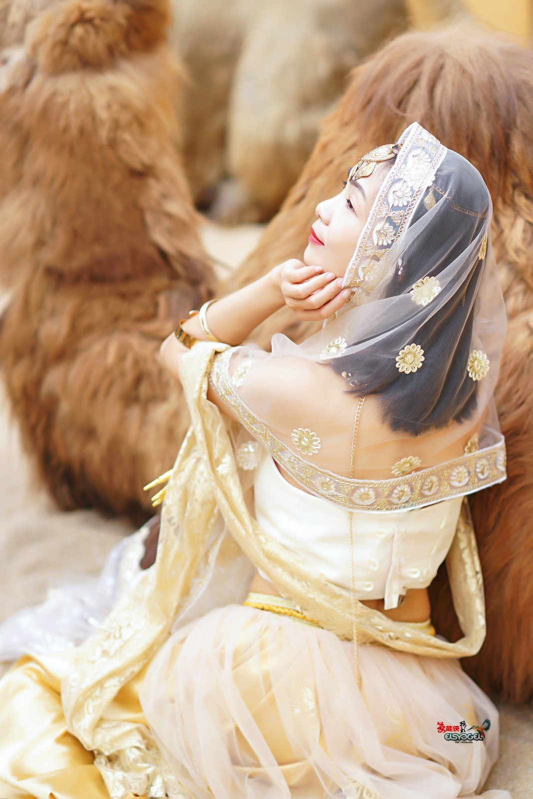 【沙漠香槟女神】---小杨