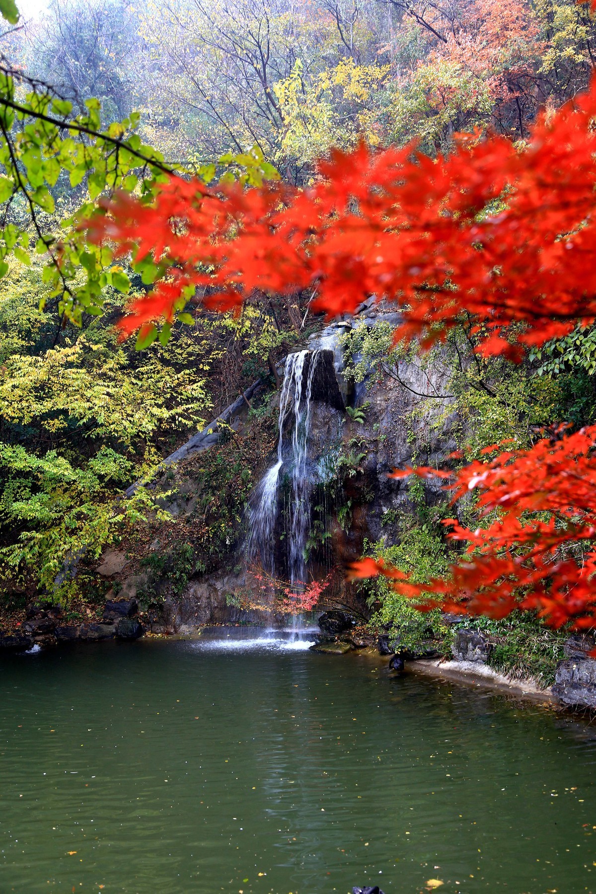 阴雨天的栖霞山之九小瀑布