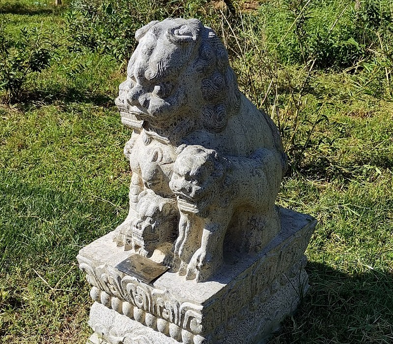 《不老松：纪实摄影》大美沧州系列報道：〔9〕百狮园！石狮雄姿各异，历久沧桑！