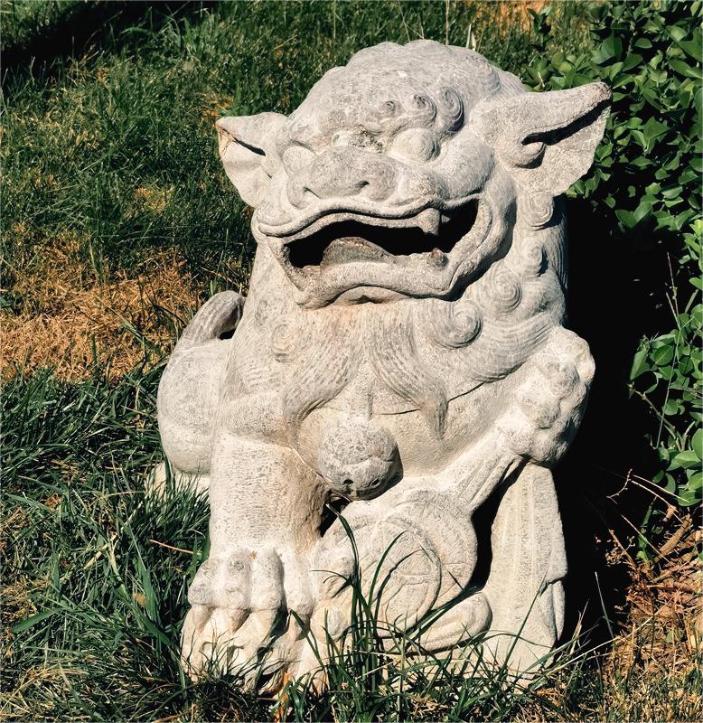 《不老松：纪实摄影》大美沧州系列報道：〔9〕百狮园！石狮雄姿各异，历久沧桑！