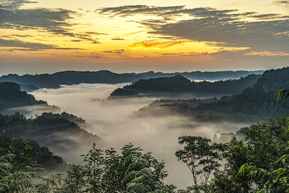 四川威远骑龙坳---晨雾【7】