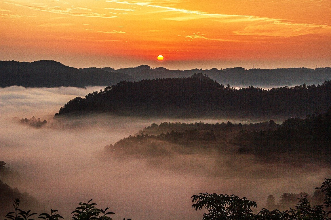 四川威远骑龙坳---晨雾【7】