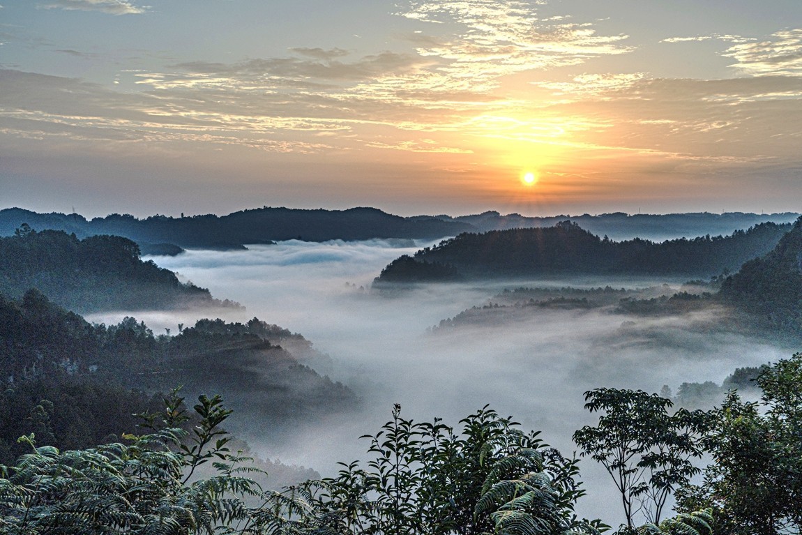 四川威远骑龙坳---晨雾【7】