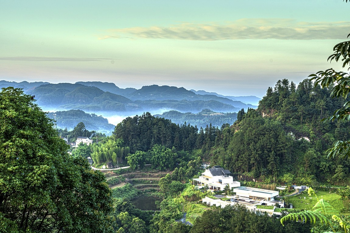 四川威远骑龙坳---晨雾【7】