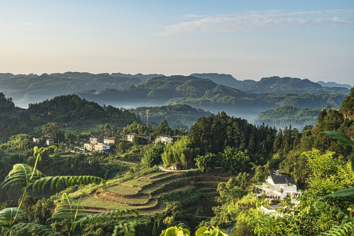 四川威远骑龙坳---晨雾【7】