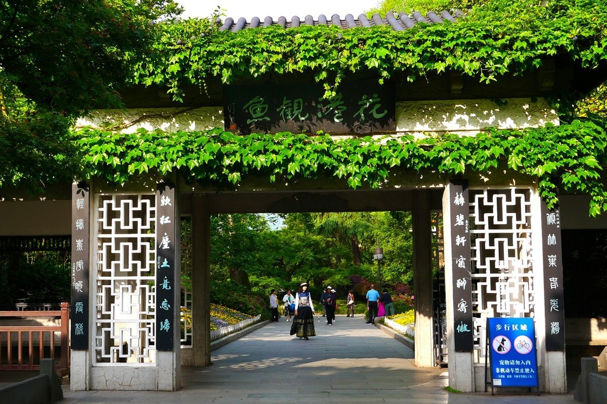杭州—西湖—花港观鱼(2)