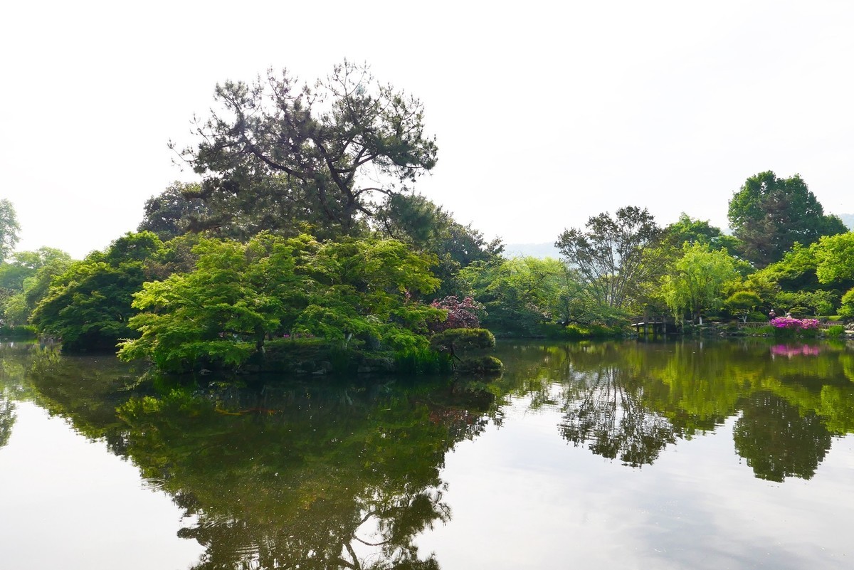 杭州—西湖—花港观鱼(2)