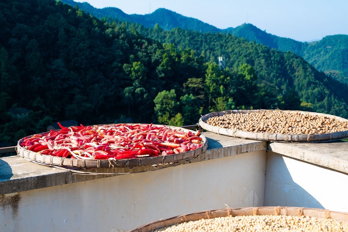 【徽州行】阳产土楼