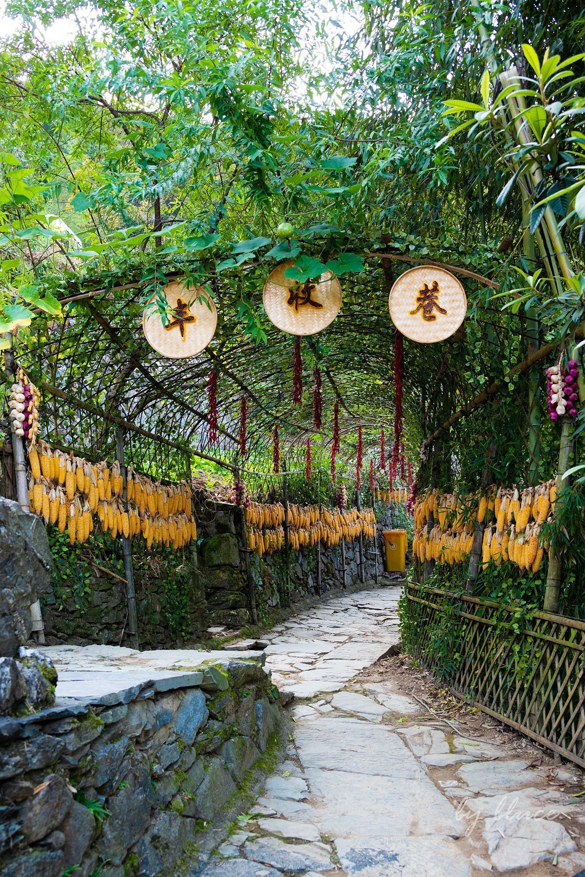 【徽州行】阳产土楼