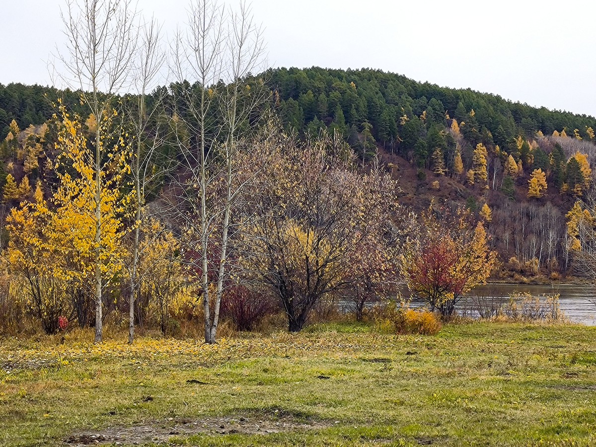 北极村秋色手机随拍(三)