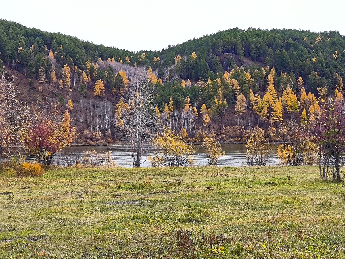 北极村秋色手机随拍(三)
