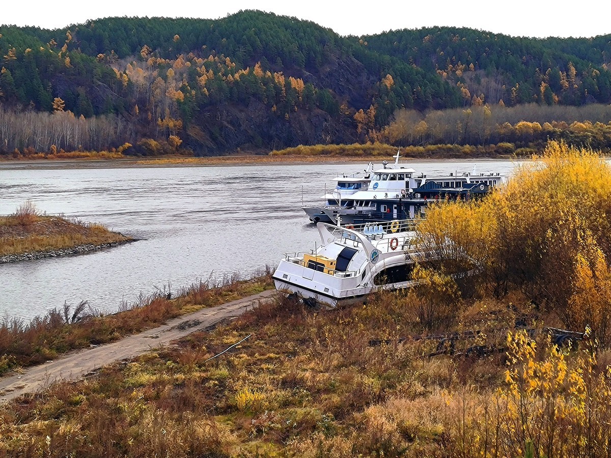 北极村秋色手机随拍(三)