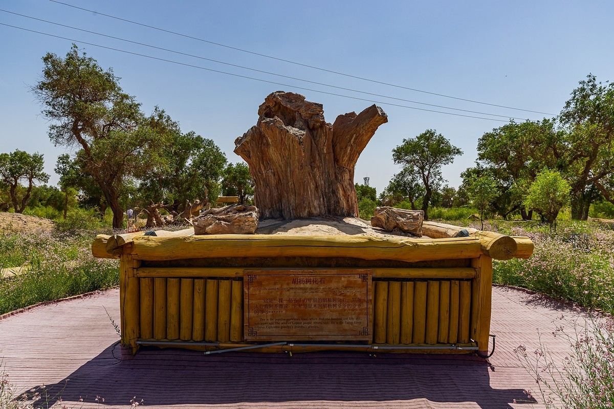 旅游记录 ：新疆 · 巴音郭楞 · 尉犁 · 罗布人村寨