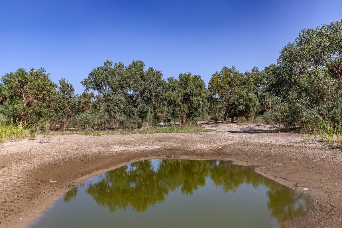 旅游记录 ：新疆 · 巴音郭楞 · 尉犁 · 罗布人村寨