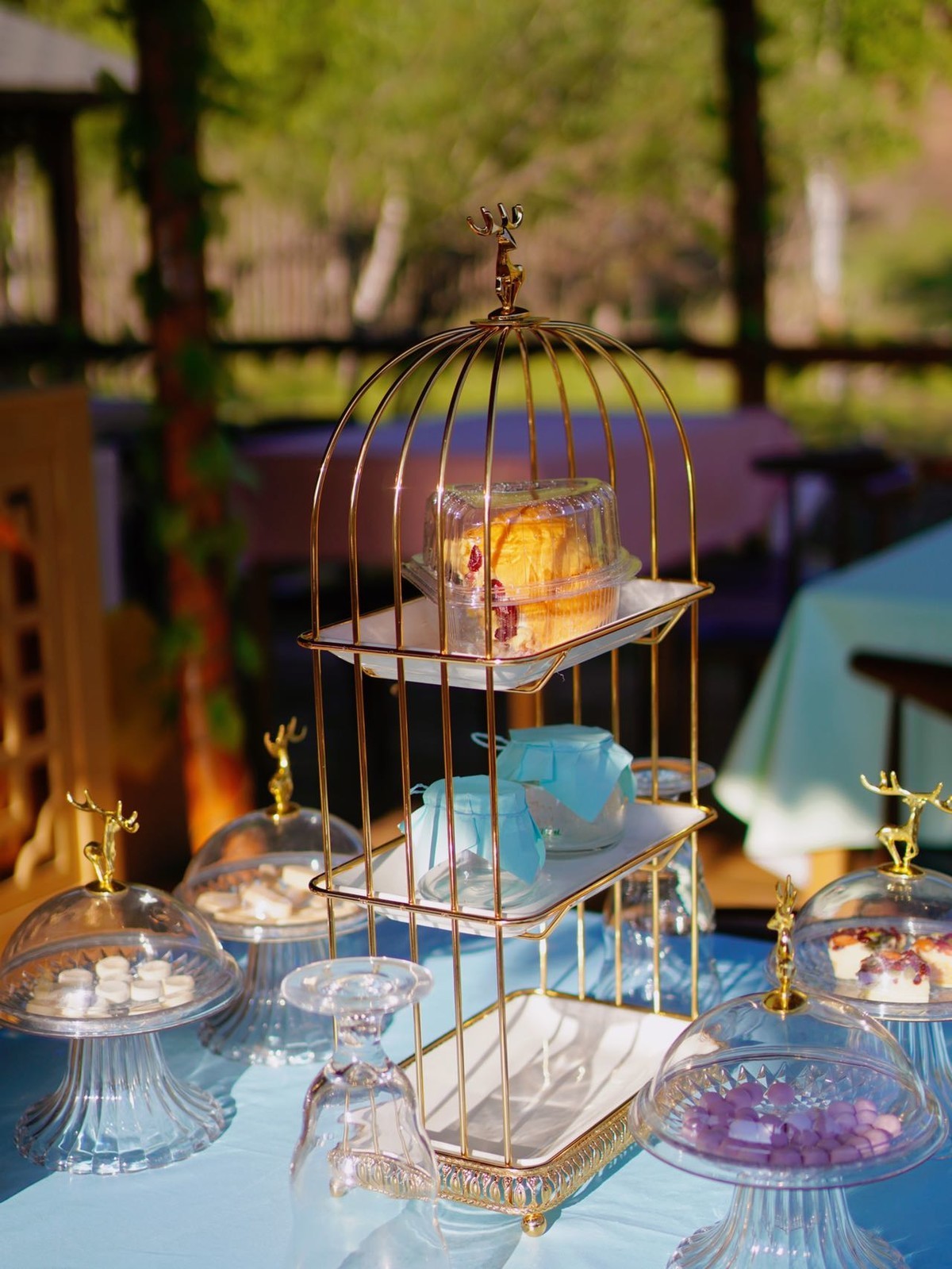 解锁羊驼下午茶+亲子派对，在云端牧场遇见萌趣时光