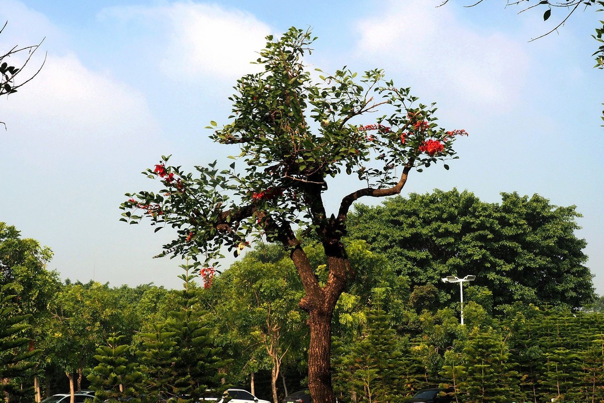 中山——三角镇：迪茵湖花园度假村（4）