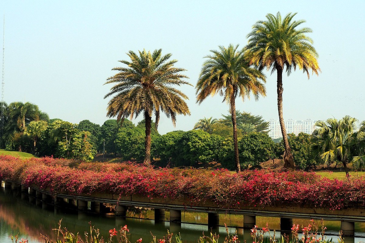 中山——三角镇：迪茵湖花园度假村（4）