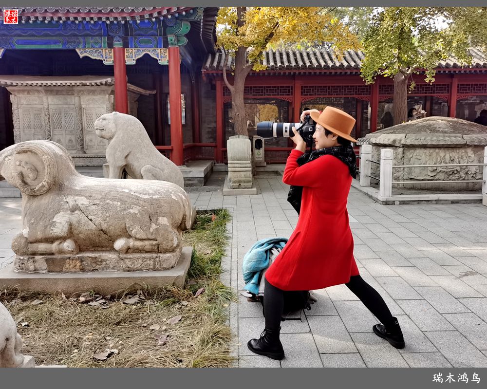 【京城寺庙集锦】45.五塔真觉寺的今世前缘（5）