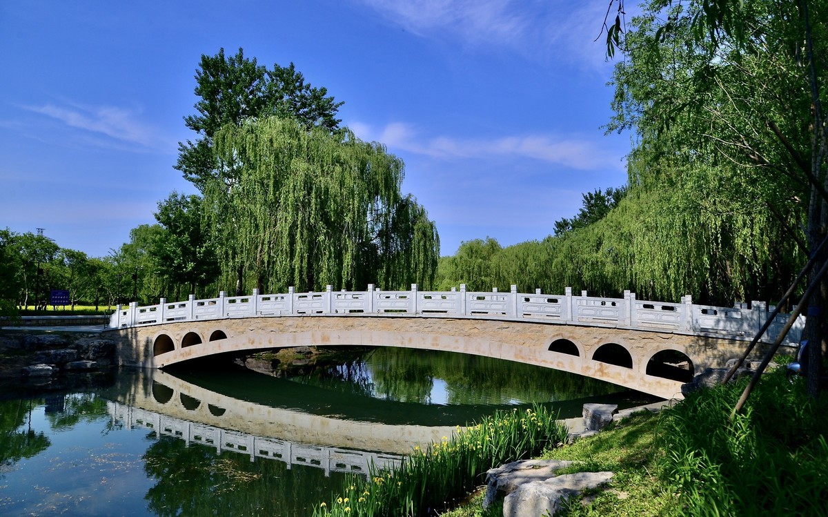 玉东郊野公园---位于颐和园西侧-中关村在线摄影论坛