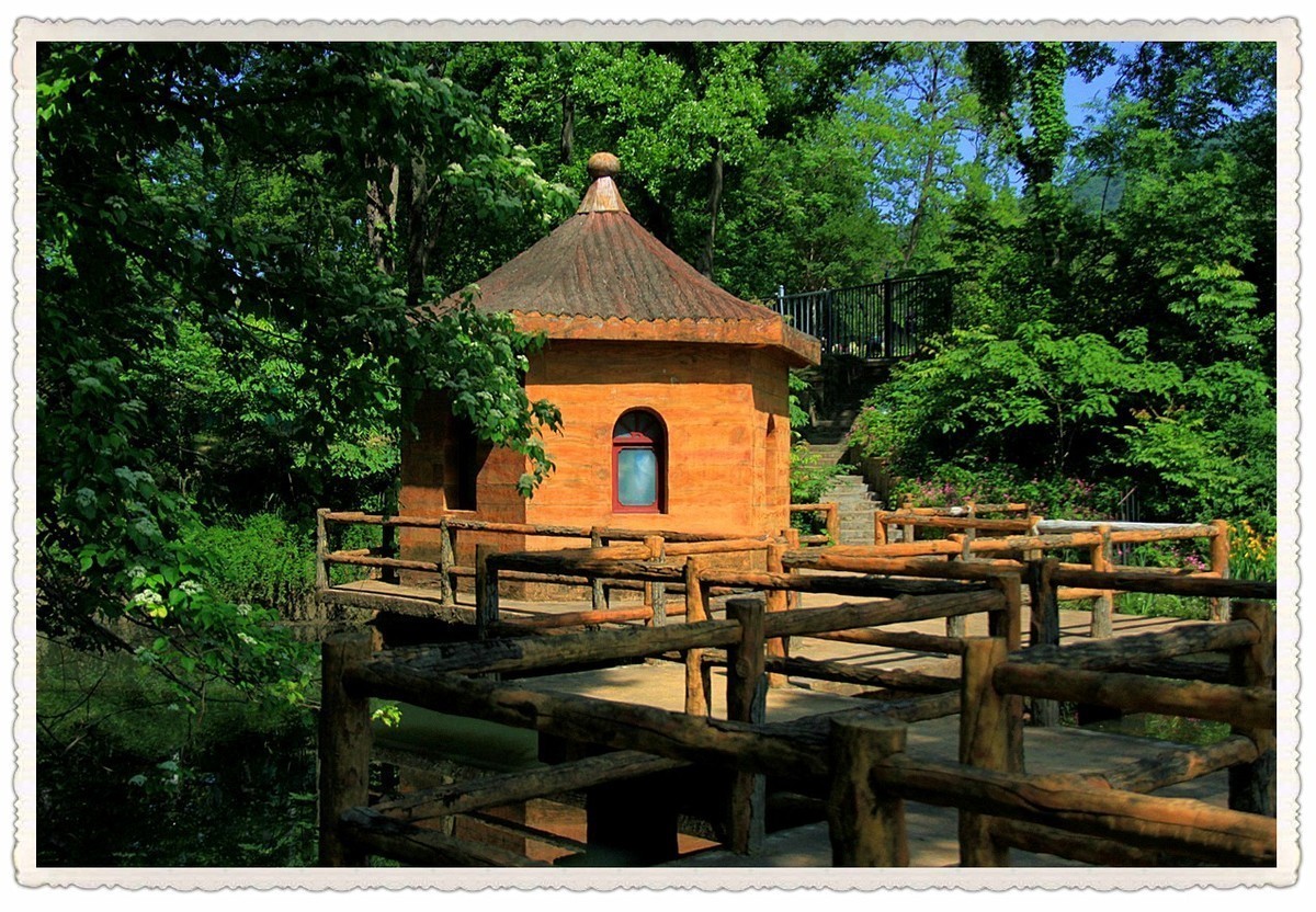 2020中山植物园-旅游攻略-门票-地址-问答-游记点评，南京旅游旅游景点推荐-去哪儿攻略