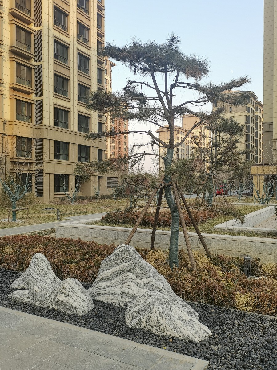 现代城镇新格局-----雄安新区的社区建筑特色