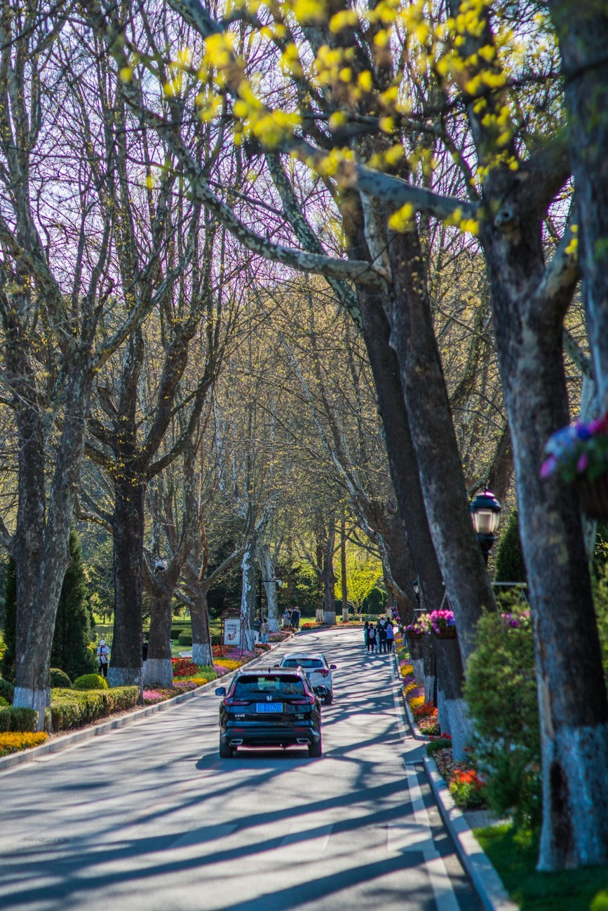 2023年4月30日------大连棒棰岛国宾馆景区