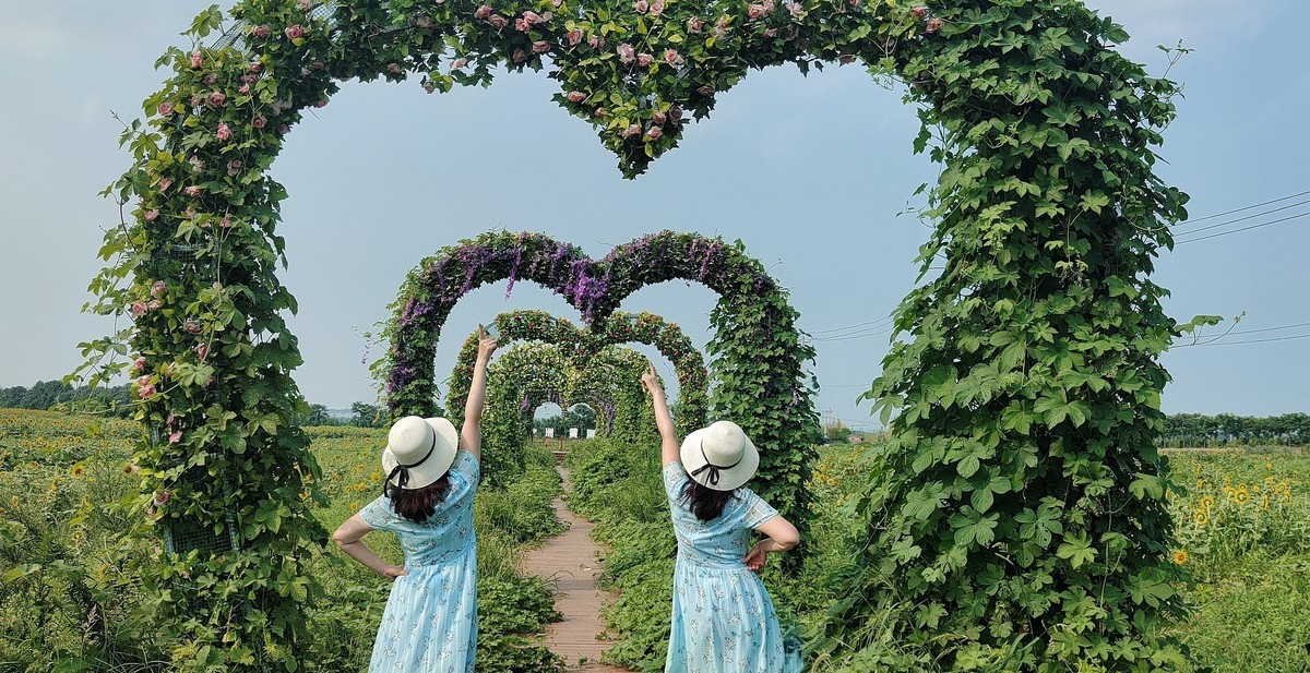 轻点足尖向日倾