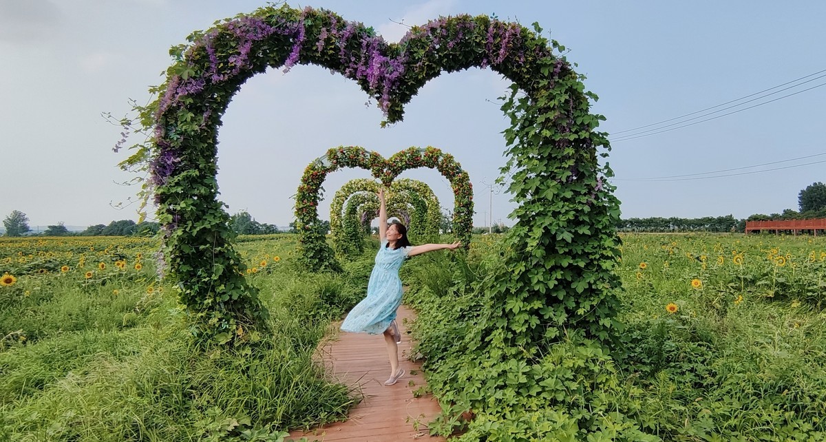 轻点足尖向日倾