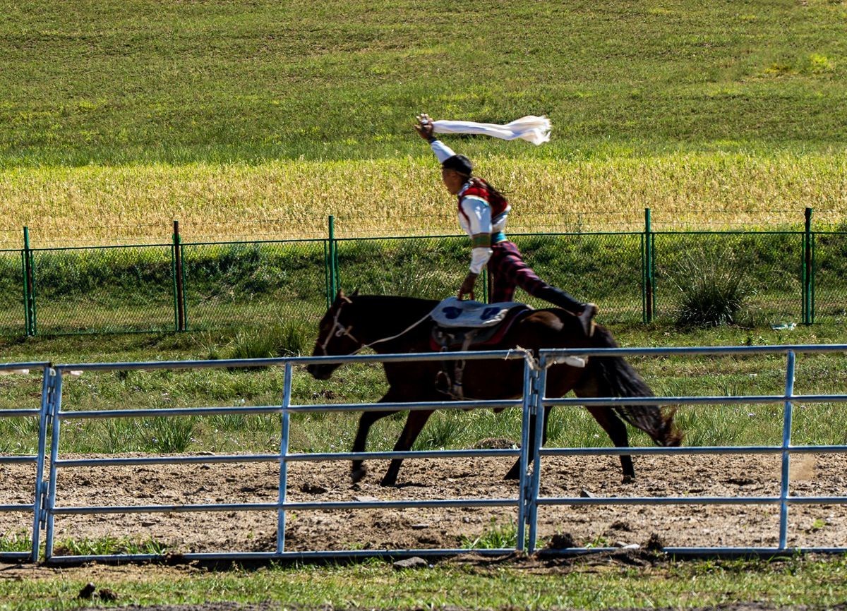 马术表演--摄于沽源库伦淖尔